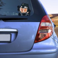 Adesivo para Carro Batman Pregado